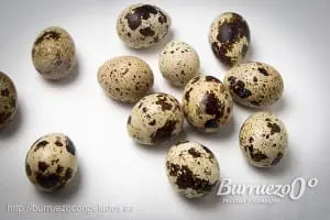 Huevos de codorniz